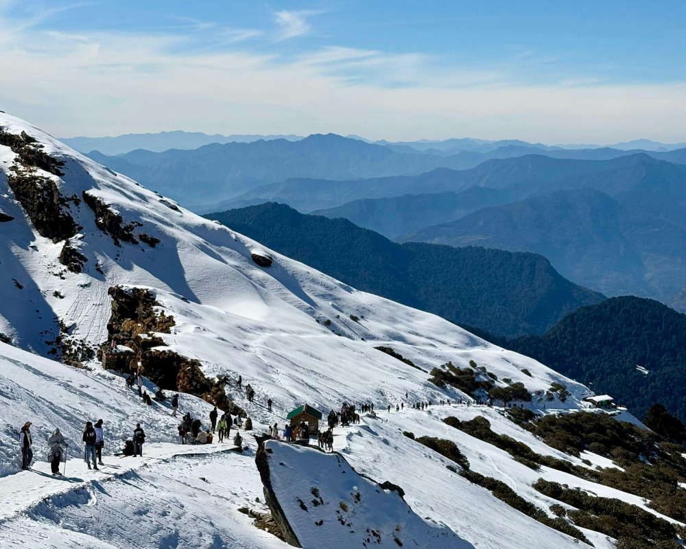 Trekkers walking through fresh snow on the Chopta–Tungnath trail with pine trees and Himalayan peaks in winter