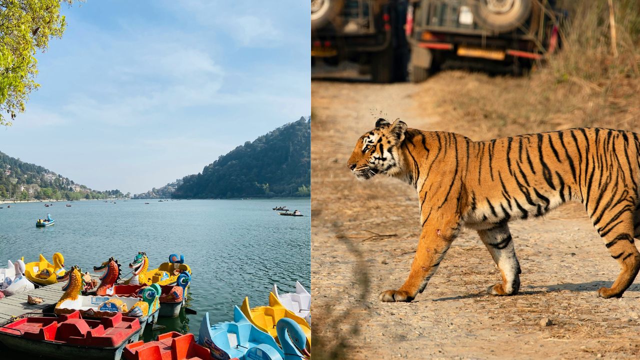 nainital jim