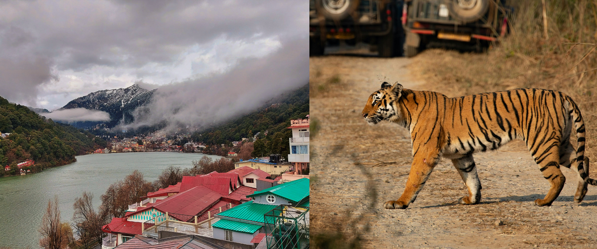 Nainital Lake scenic view and Jim Corbett jungle safari experience in Uttarakhand